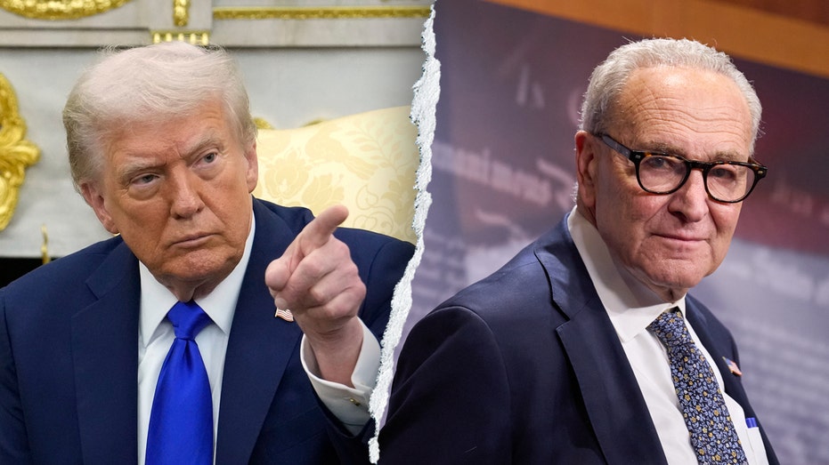 Trump says 'losers' Schumer, Dems would have criticized any decision he made on Iran
