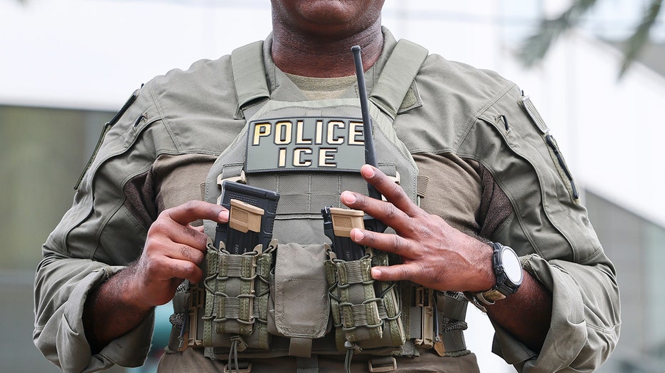 Giving thanks: Republican lawmakers express gratitude for ICE workers in DHS video