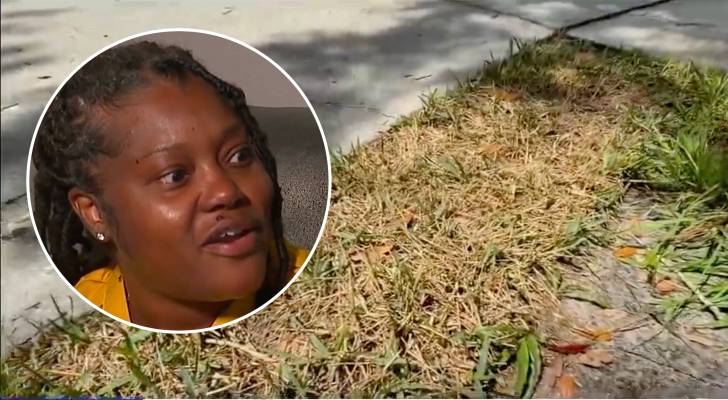 Florida woman jailed after her HOA took her to court — why you should never ignore your HOA’s ‘petty’ requests