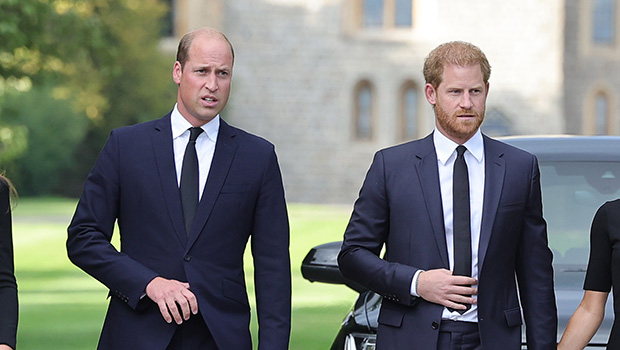 Prince William &amp; Prince Harry Reportedly Have ‘No Plans’ to Reunite Amidst Dad Charles’ Cancer Diagnosis