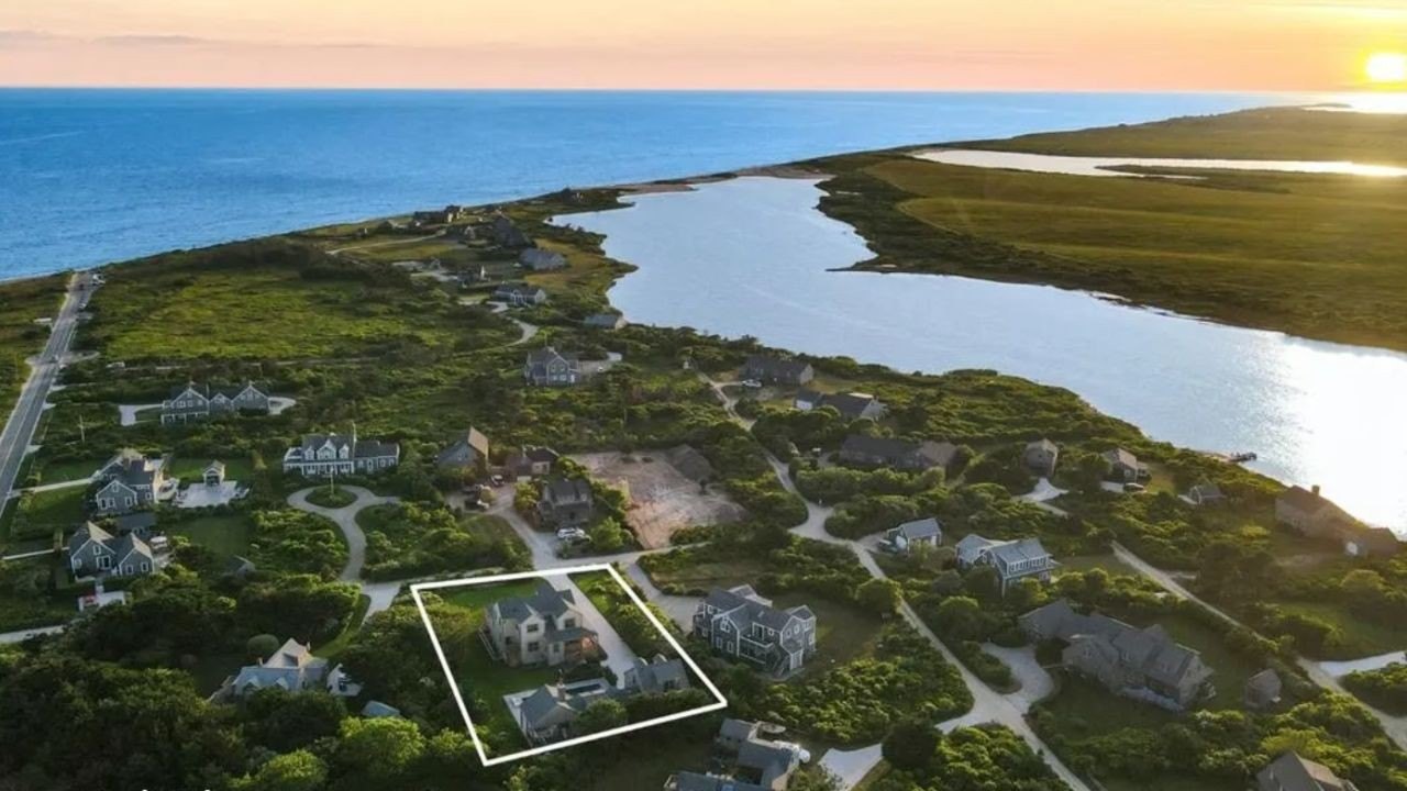 Nantucket Man Who Chopped Down Neighbor’s Trees for Ocean View Says He Was Simply ‘Clearing Out Her Crappy Trees’