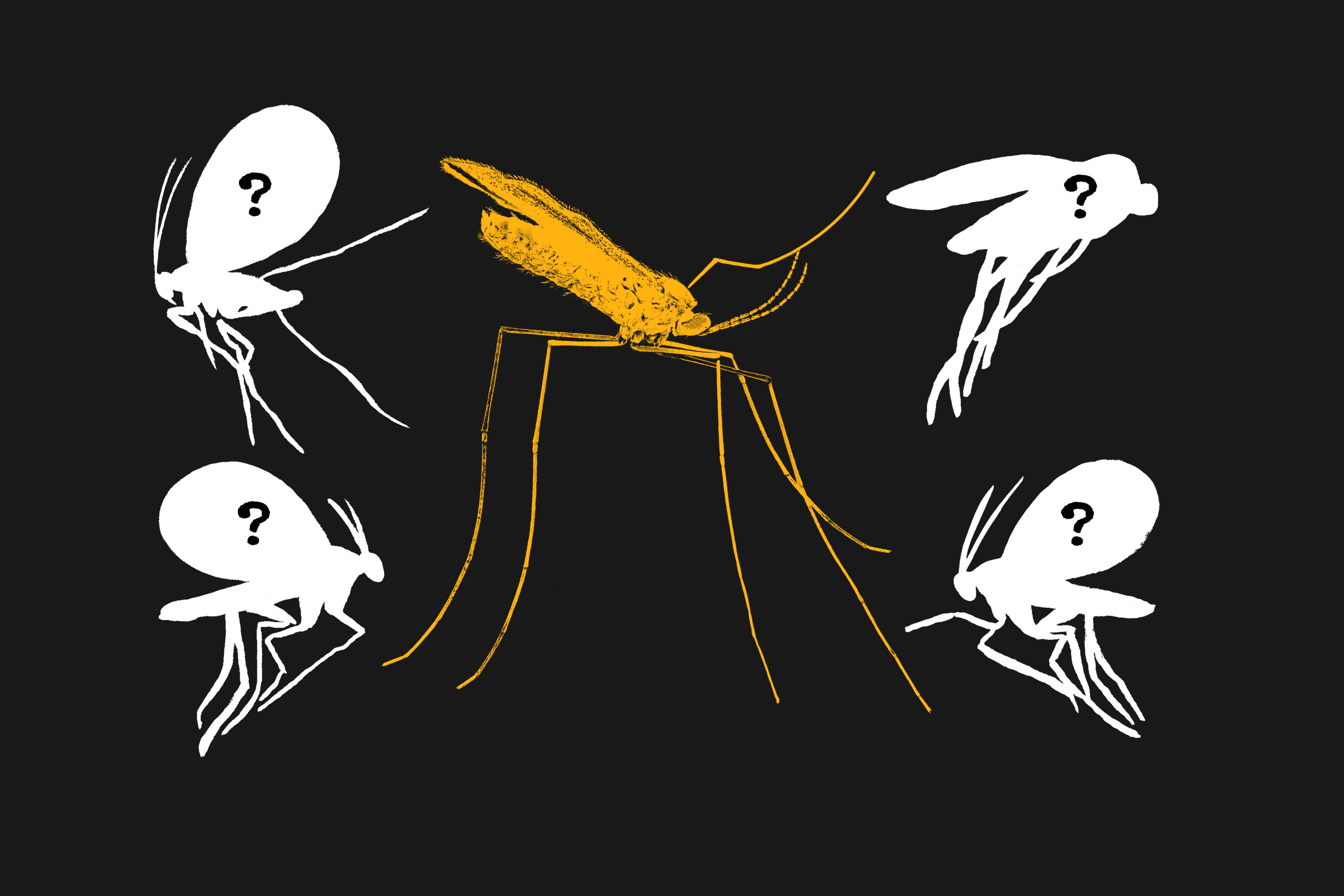 The search for Earth’s most mysterious creatures is turning up extraordinary results