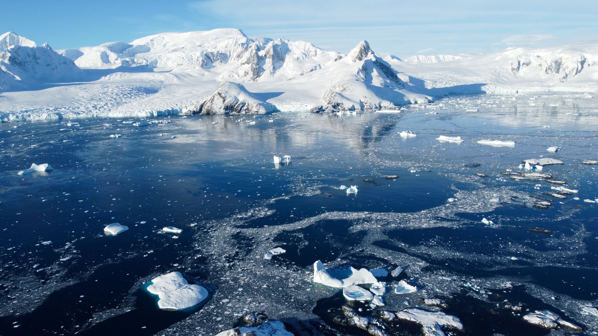 Leading scientist issues dire warning about disturbing phenomenon in Antarctica: 'I'm not sure I have the capacity to really think it through'