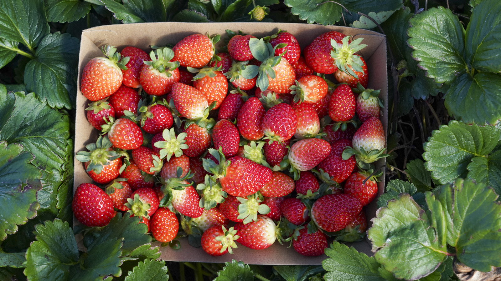 Tucked In The Heart Of New England Is A Connecticut Farm Escape Filled With Wine And Four-Season Delight