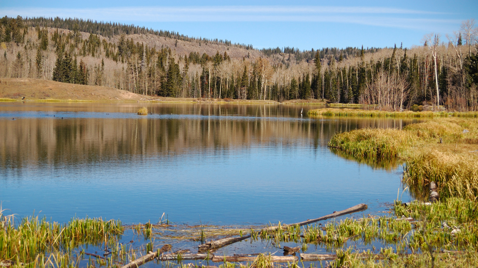 Utah's Hidden Lake Tucked In The Dixie National Forest Is A Quiet Escape From Crowds With A Mountain Backdrop