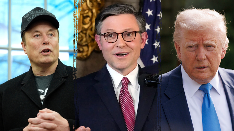Speaker Johnson reveals Musk left MAGA ally's lengthy text hanging in 'the ether' after Trump blowup