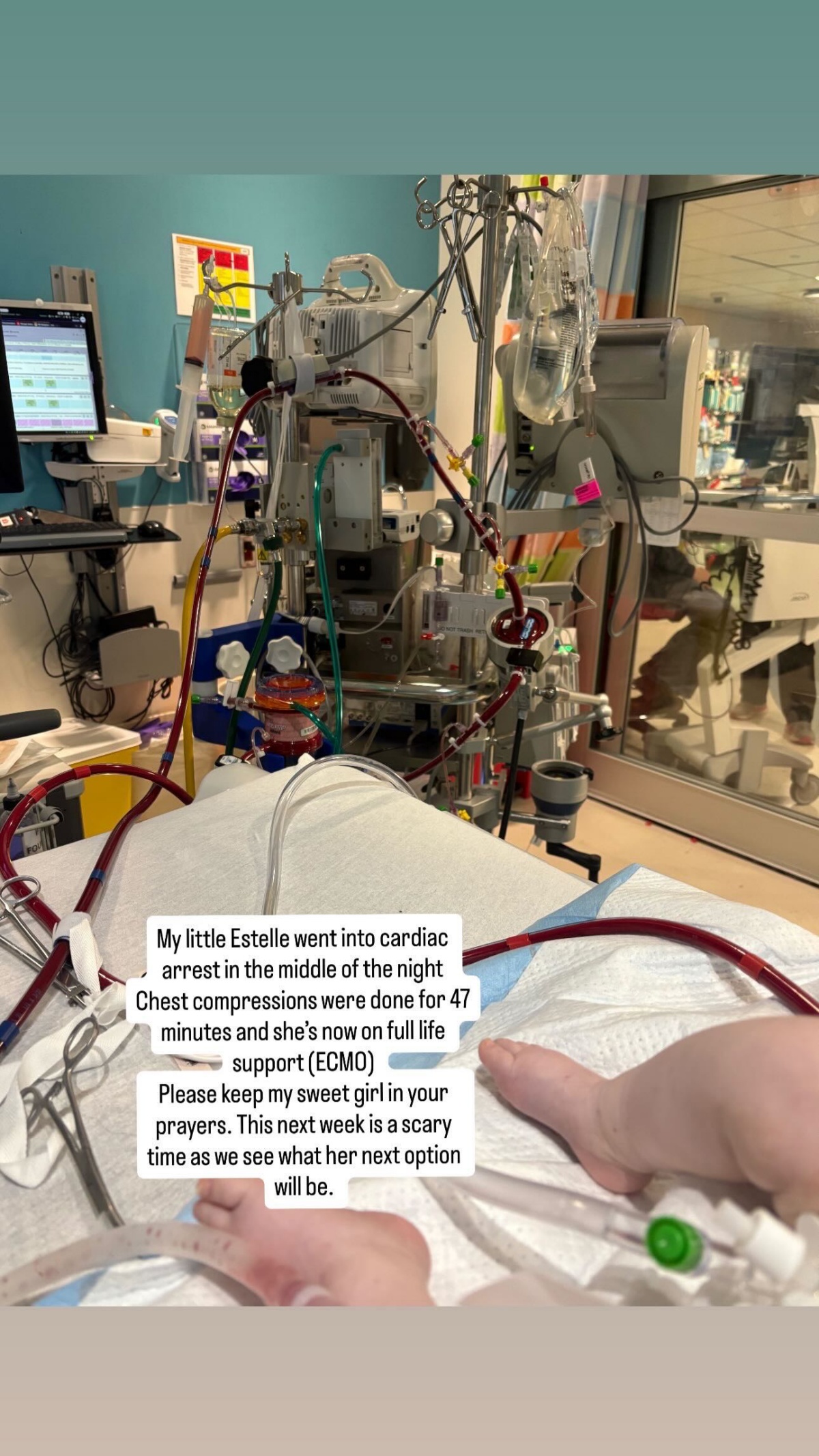 Influencer Estee Williams’ Baby on ‘Full Life Support’ After Cardiac Arrest