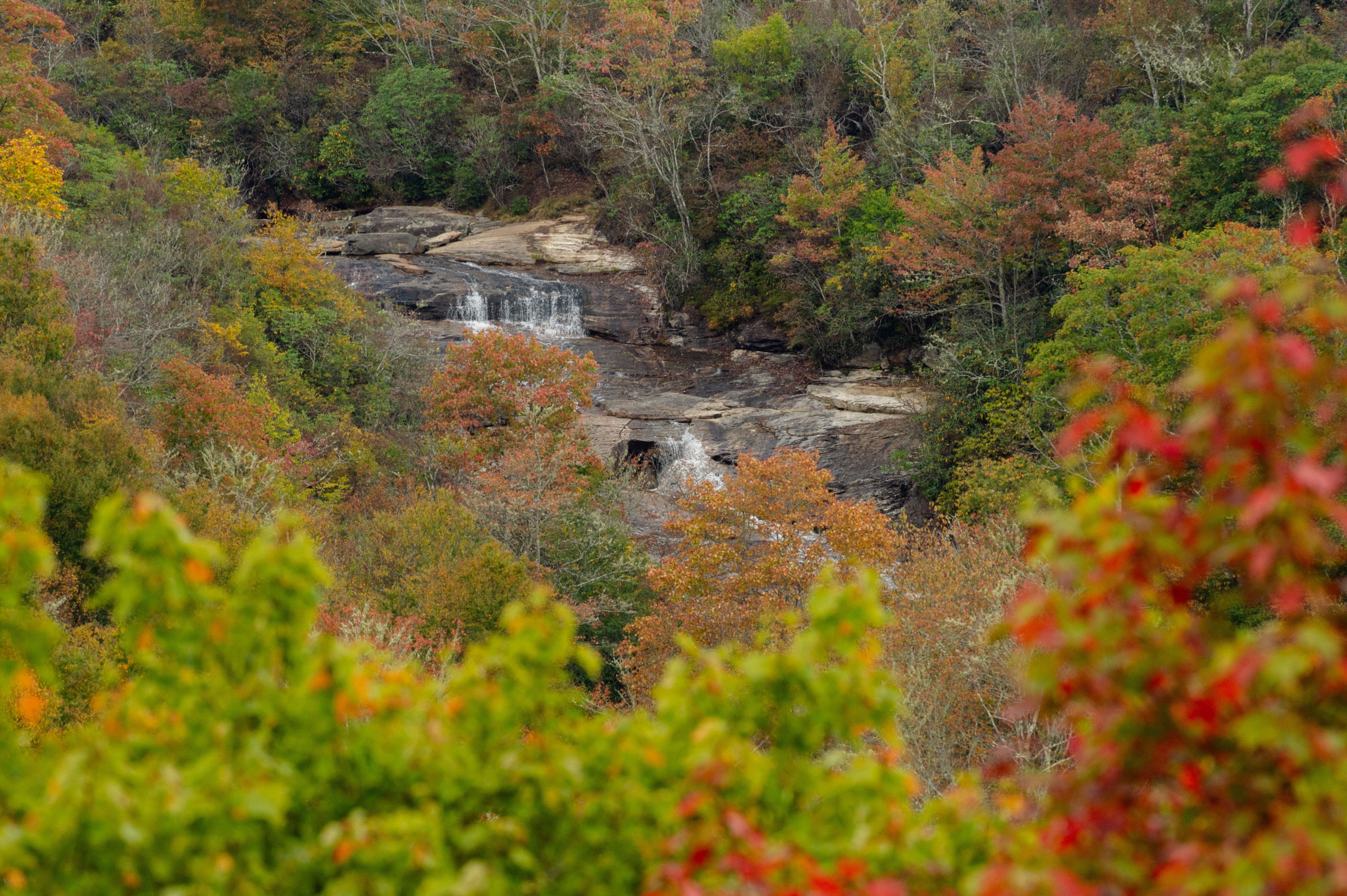 Blue Ridge Parkway visitor died near Graveyard Fields, National Park Service says
