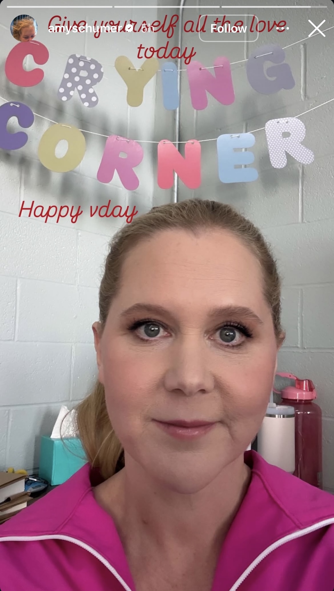 Amy Schumer Creates 'Crying Corner' for Valentine's Day Amid Divorce