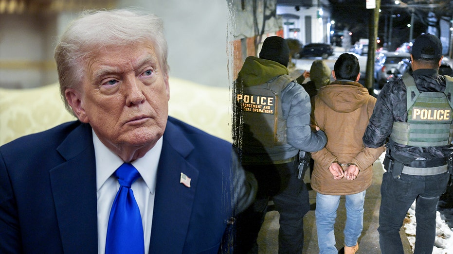 Trump backs ICE raid tactics, says they 'haven't gone far enough'