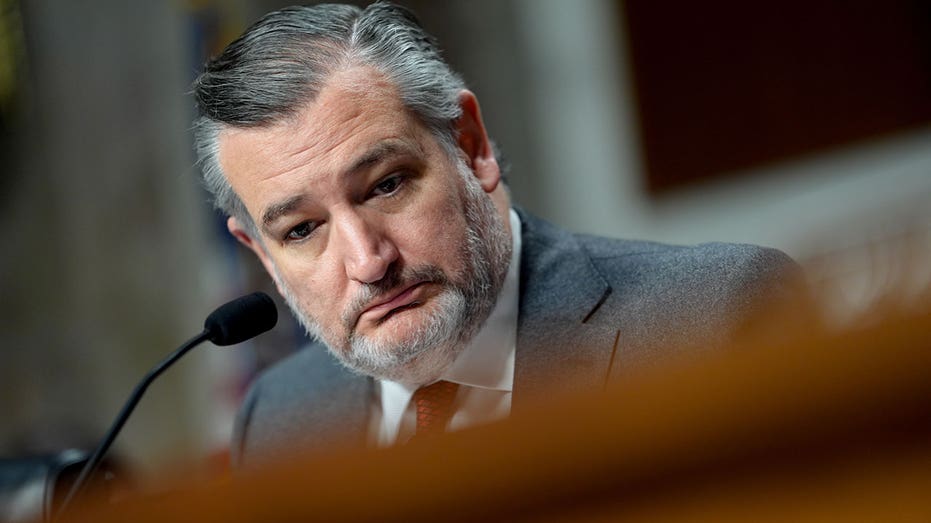 Cruz back in Texas after photo of him boarding plane sparks backlash ahead of winter storm