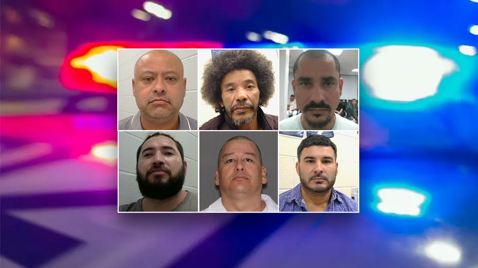6 criminal aliens nabbed in Houston ICE raids boast startling number of convictions