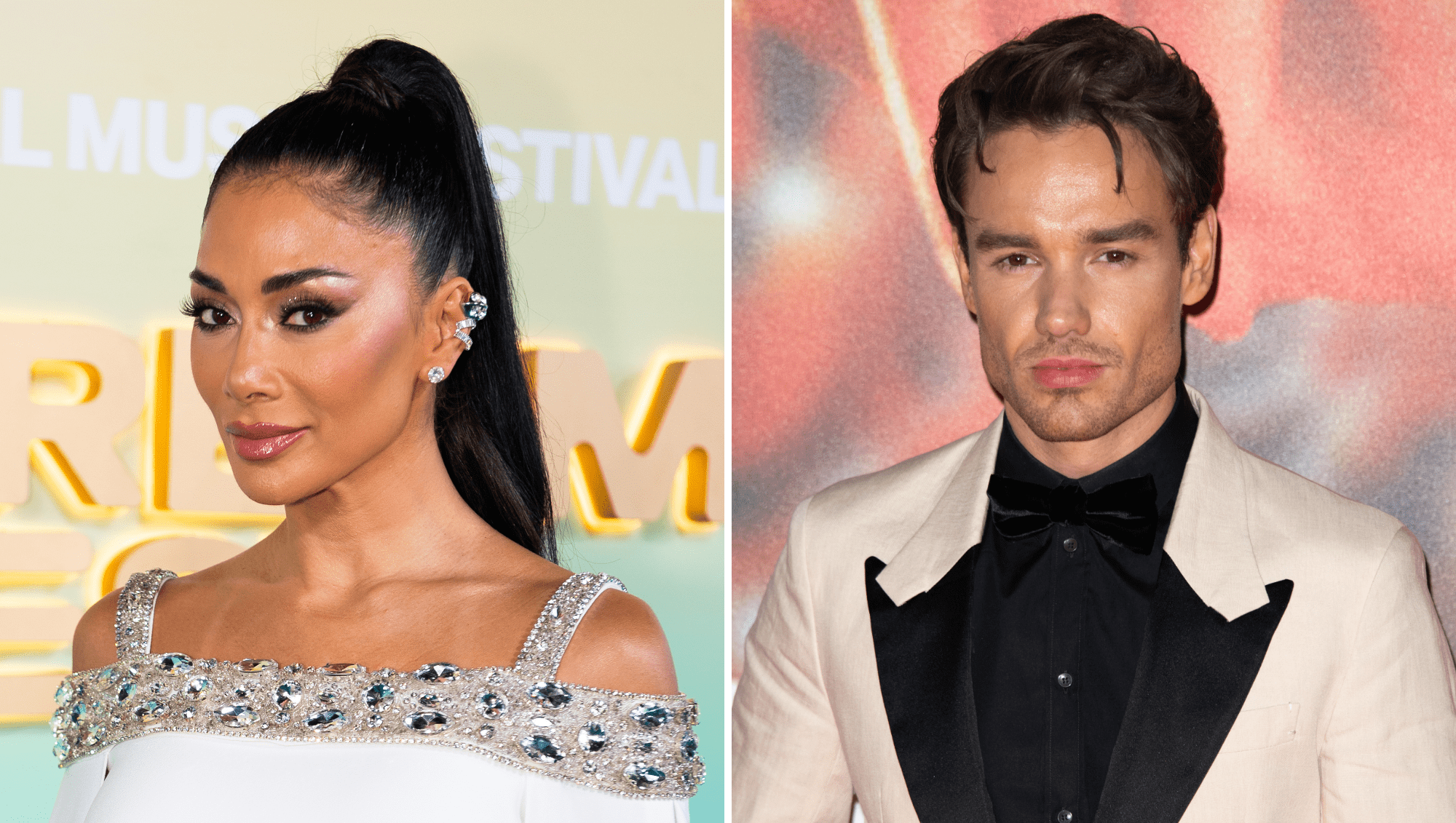 Nicole Scherzinger Reveals What She Texted Liam Payne on the Day He Died