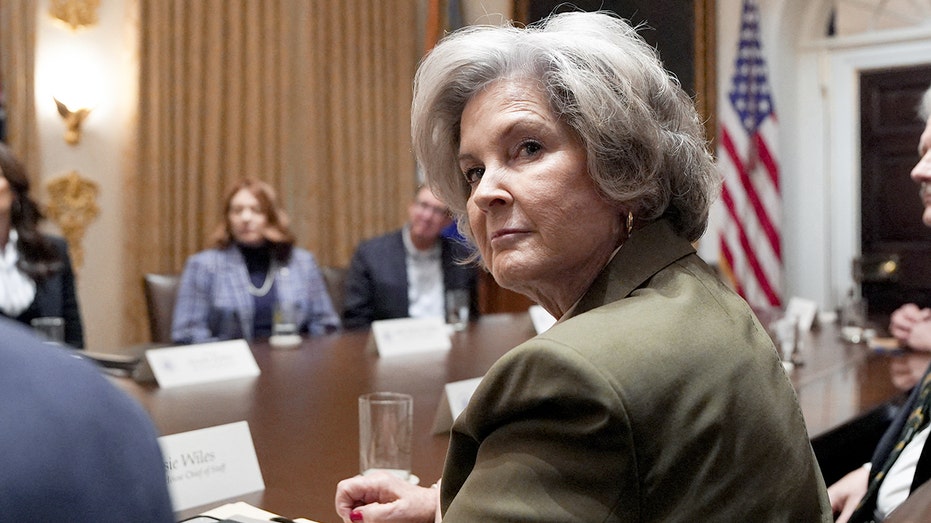 As GOP political power hangs in the balance, Wiles says Trump will 'campaign like it's 2024' ahead of midterms