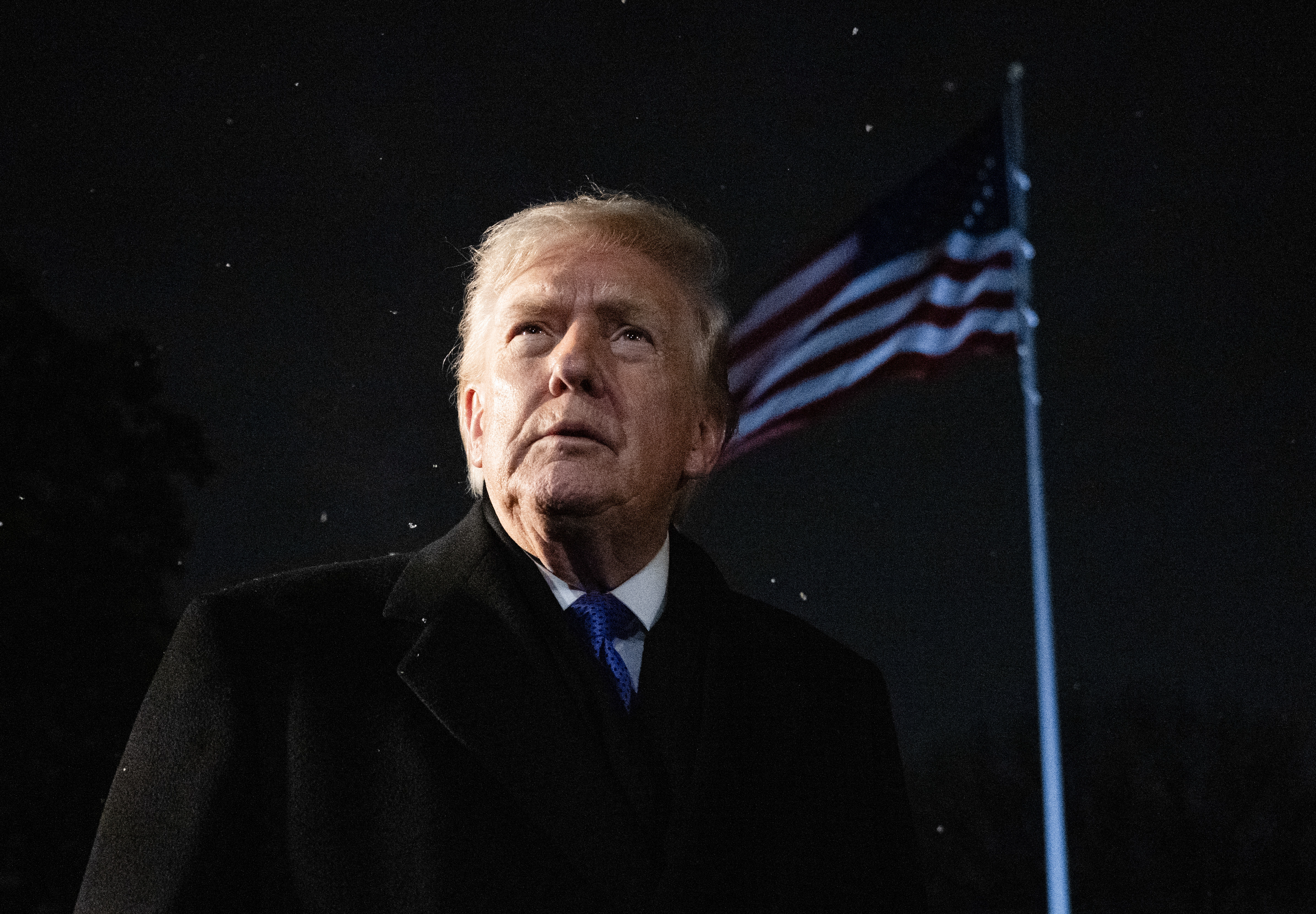 The Art of the Steal