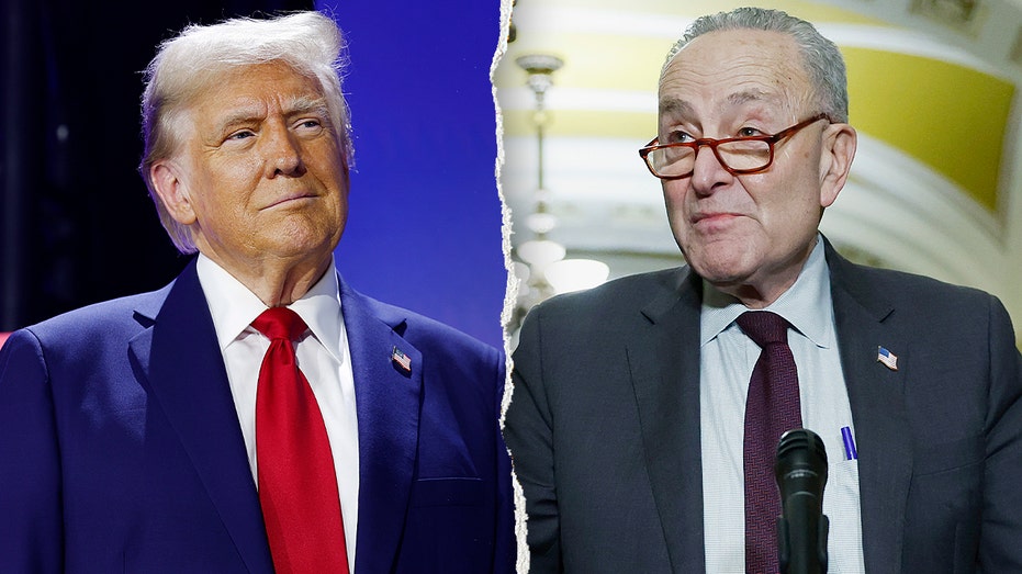 Trump mocks 'discombobulated' Schumer over Democrats' near gaffe on funding ICE