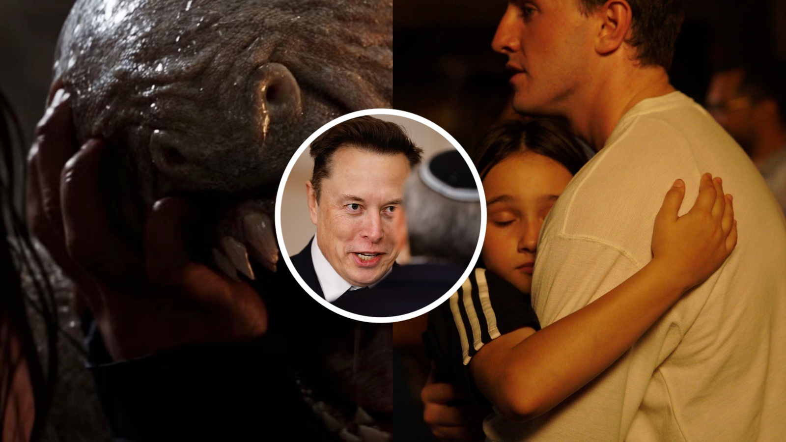 Does Grok Even Work? Elon Musk’s AI Confuses Horrifying ‘Hunger Games’ Death Scene With Fatherhood Drama ‘Aftersun’