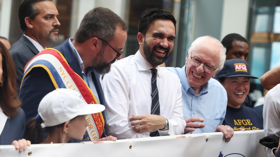 'Full-blown battle' brewing in Dem party as Mamdani-style candidates rise in key races