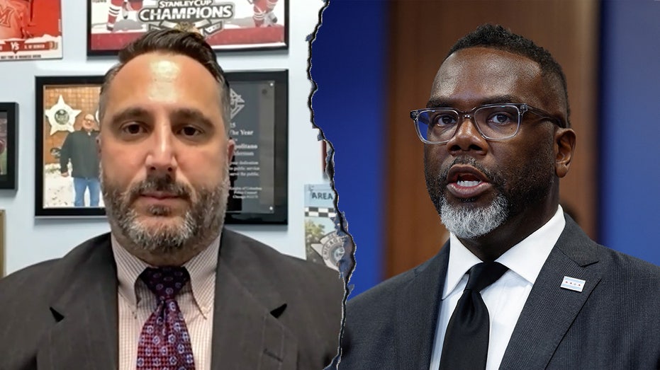 Ex-Chicago police officer rips city's stand-down order for swarmed ICE agents: 'Most disgusting act'