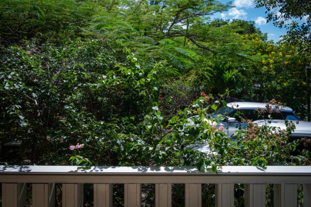 Kokomo Botanical Resort Cottage 201: View With a Room