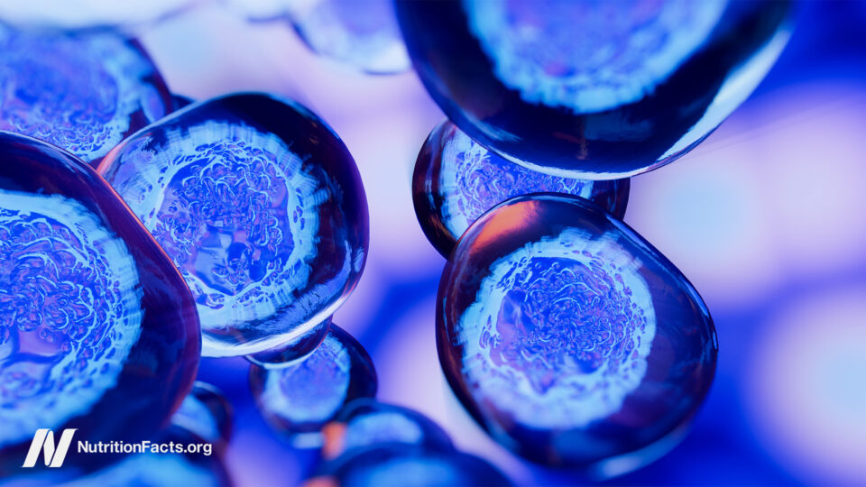 Dietary Components That May Cause Cancer to Metastasize 