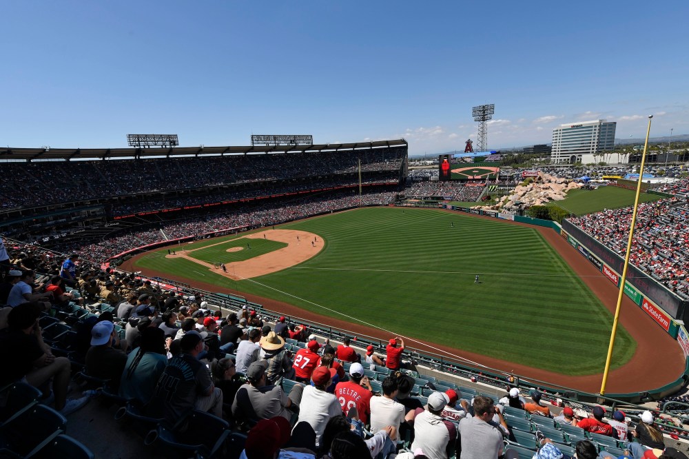 Dog Taps a Person's Shoulder at Baseball Game — What Happened Next?