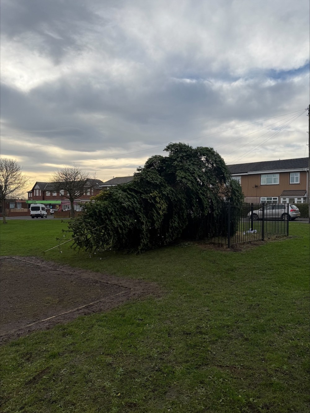 Vandals Chop Down Massive Christmas Tree After Lighting Ceremony