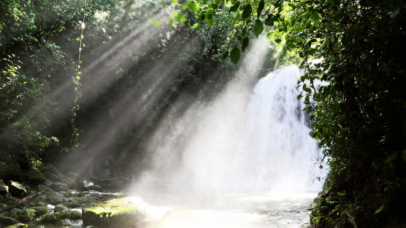 'Puerto Rico's Garden' Is A Gorgeous Inland Island Destination With Verdant Cliffs And Waterfalls