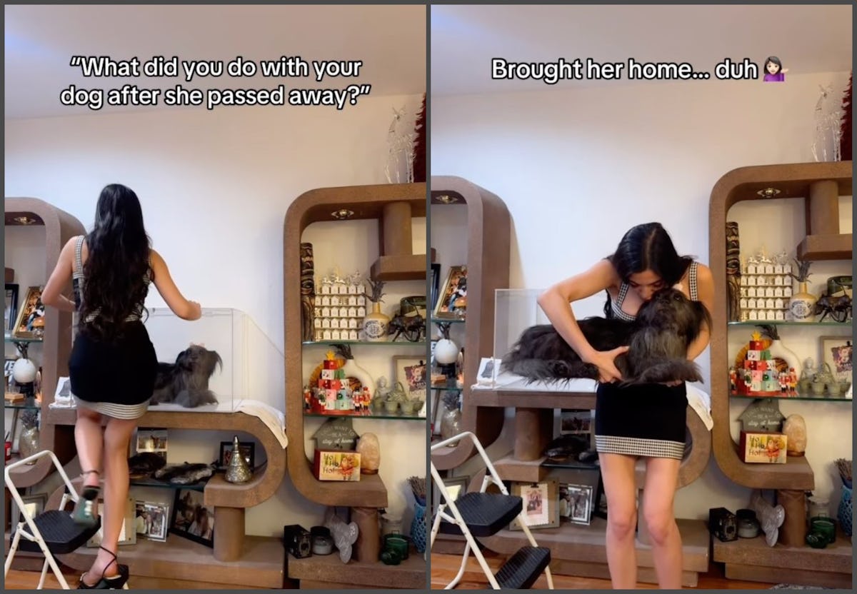 Pet Taxidermy Is Going Viral, But Experts Say It's Not New