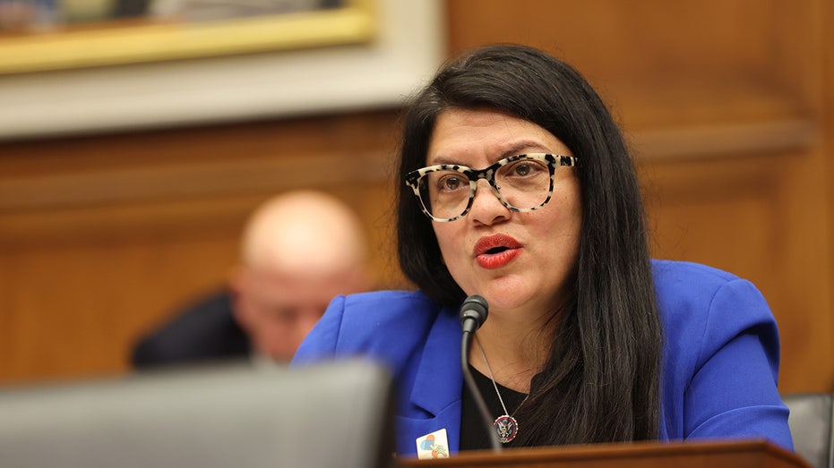 Tlaib-backed Senate candidate in the hot seat after deleting 'defund the police' social media posts