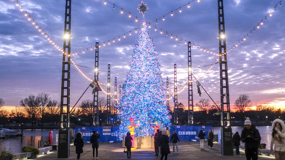 Iconic DC landmark unveils first Christmas tree as part of push to revive holiday spirit