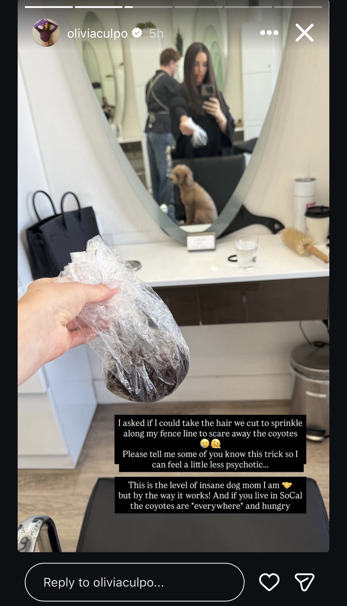 Olivia Culpo Feeds Her Hair to Wild Coyotes to ‘Scare’ Them Away From Home