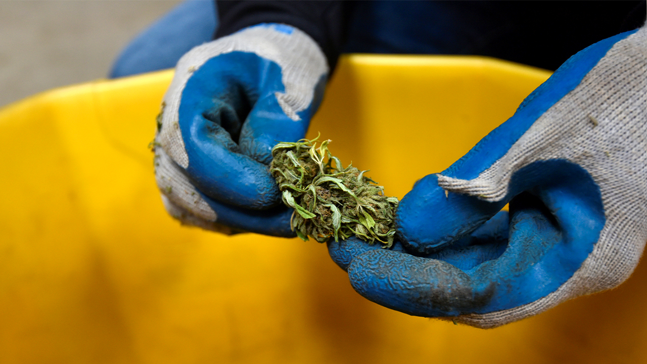 Hemp industry remains in the weeds even after Senate takes loophole closure out of bill