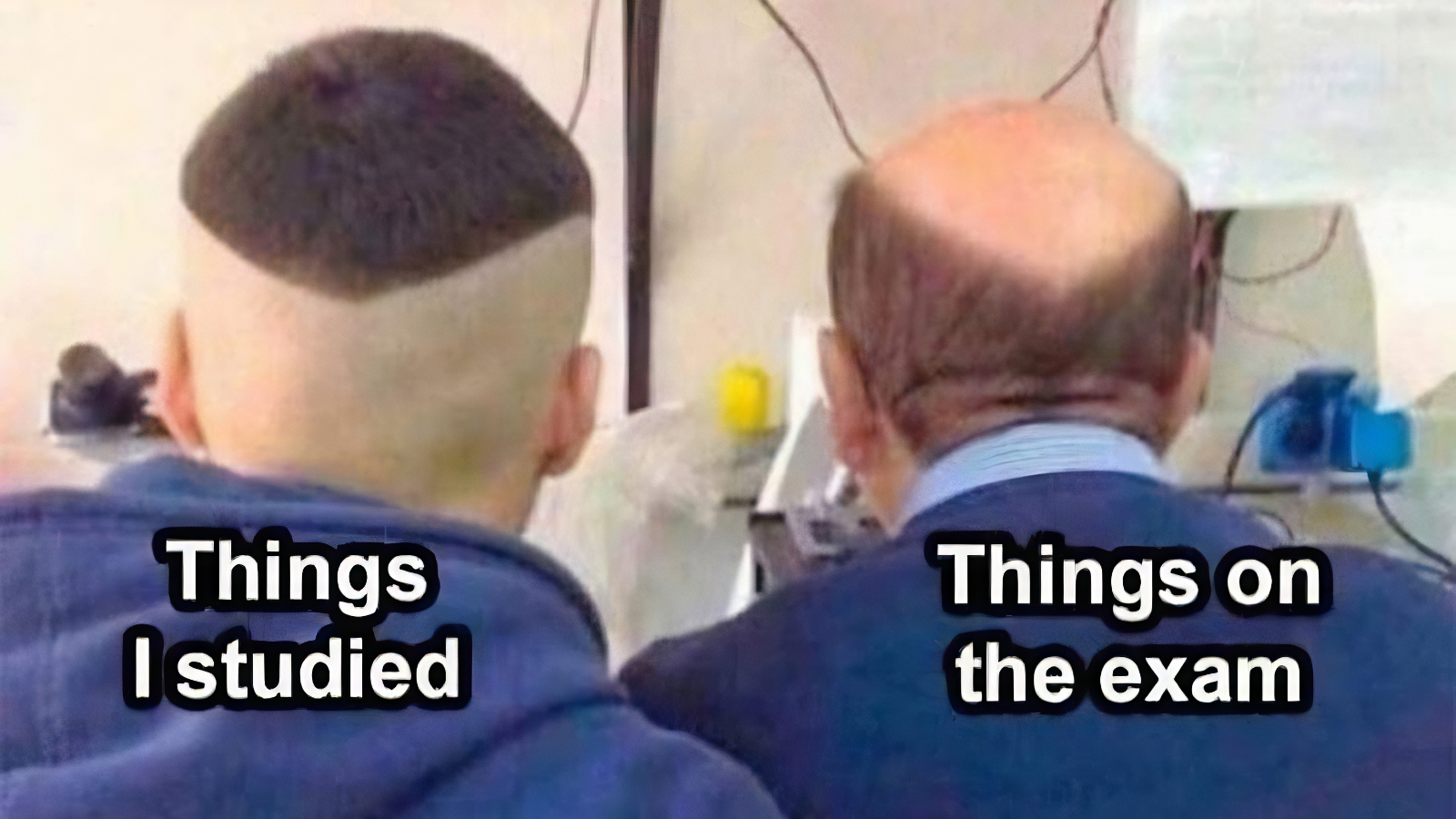Rock Today By Starting With The 52 Best Memes On The Internet Right Now