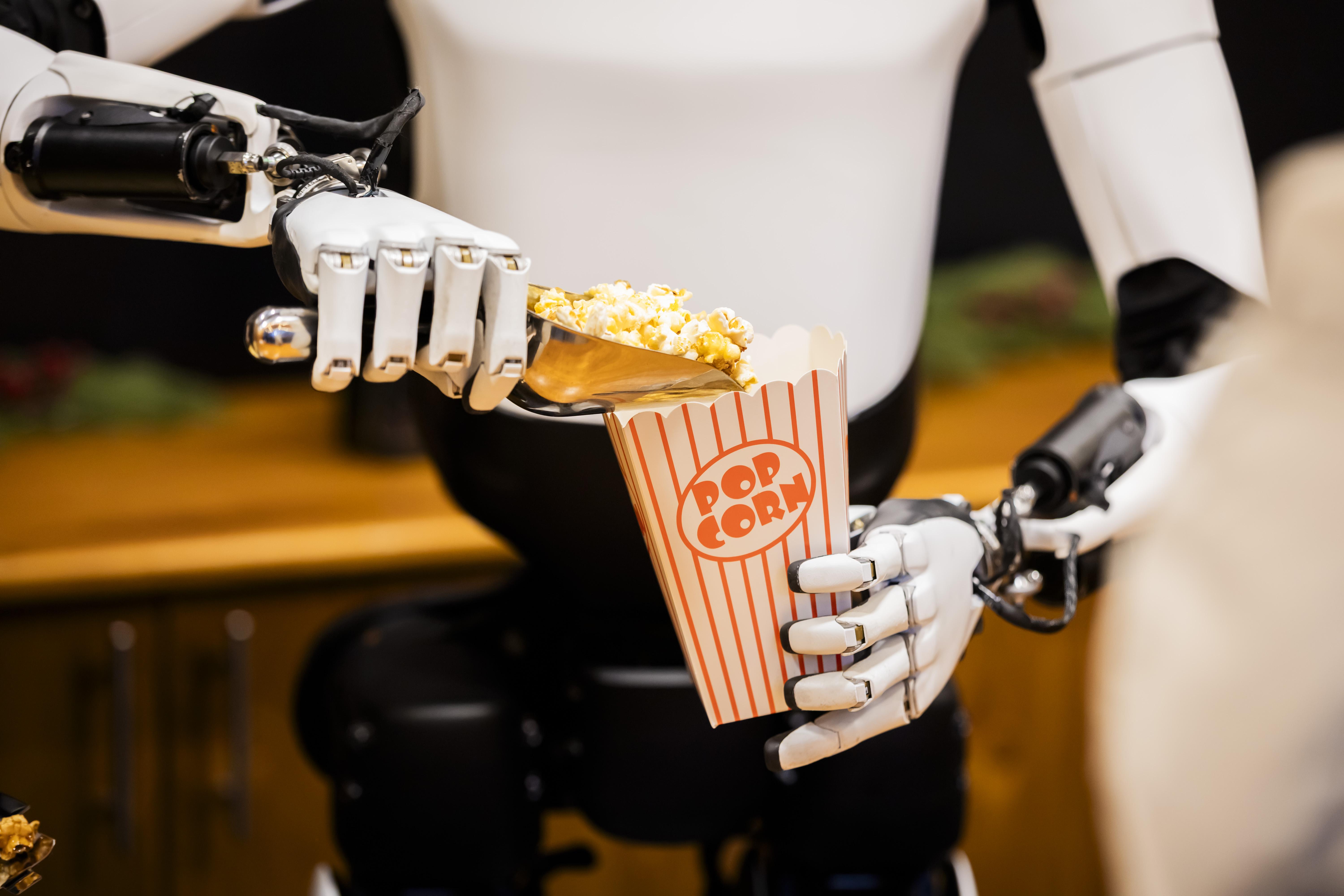 Are humanoid robots all hype?