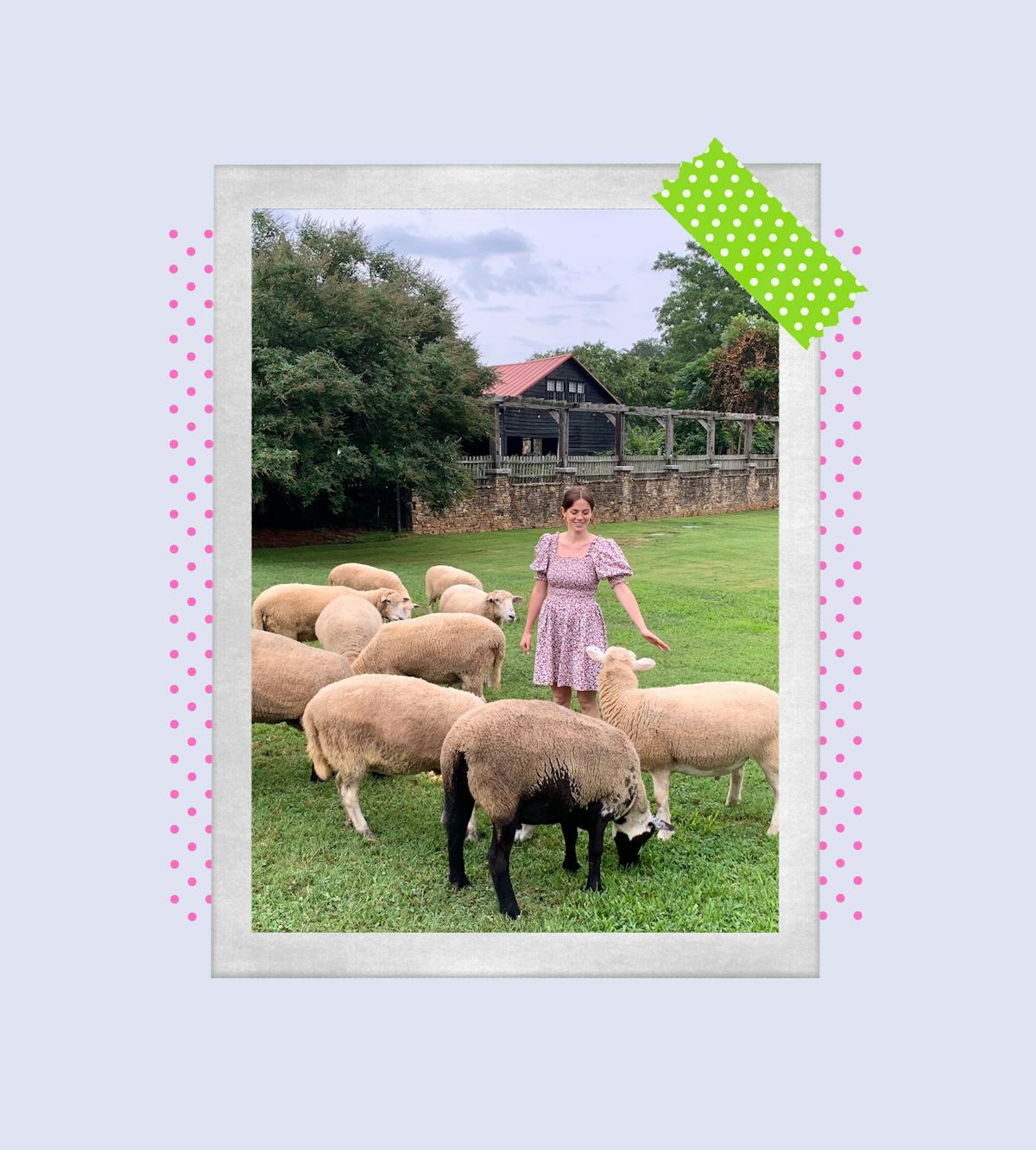 Scary Mommy 2026 Readers’ Choice Awards Best Farm Stay