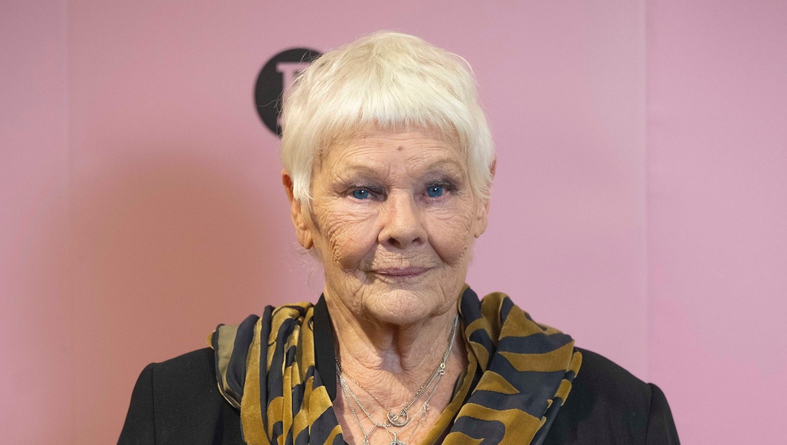 Judi Dench Reveals She 'Can't Recognize Anybody' After Losing Vision
