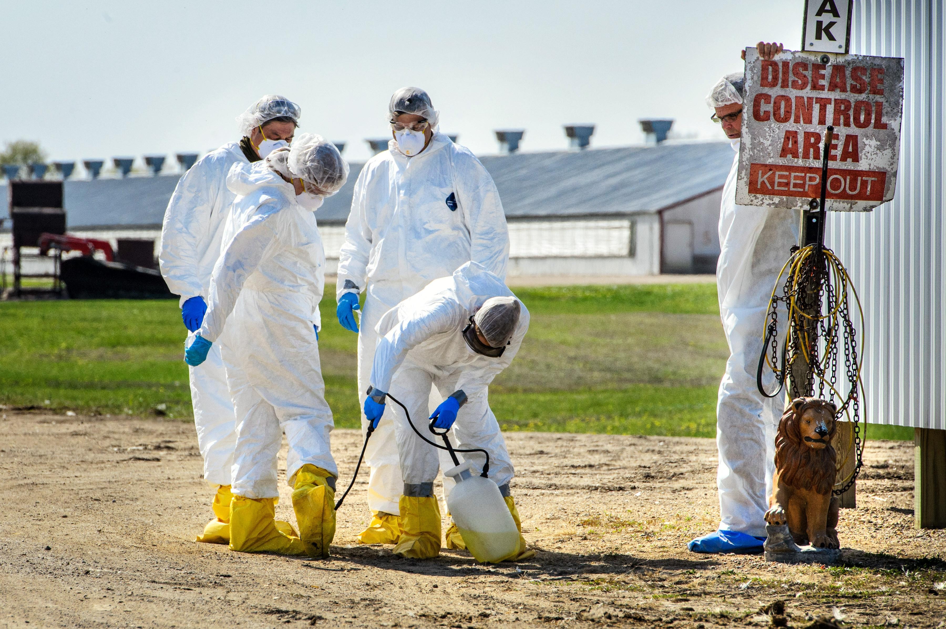 Why RFK Jr.’s anti-vax agenda might make eggs more expensive this winter