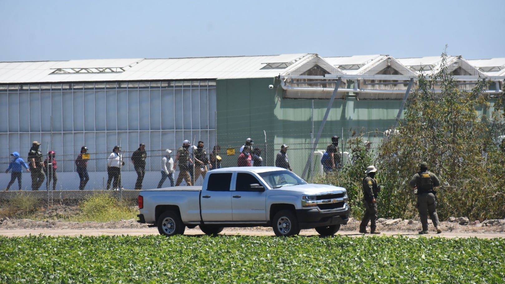 Federal immigration agents, protesters clash during raid at California cannabis farm