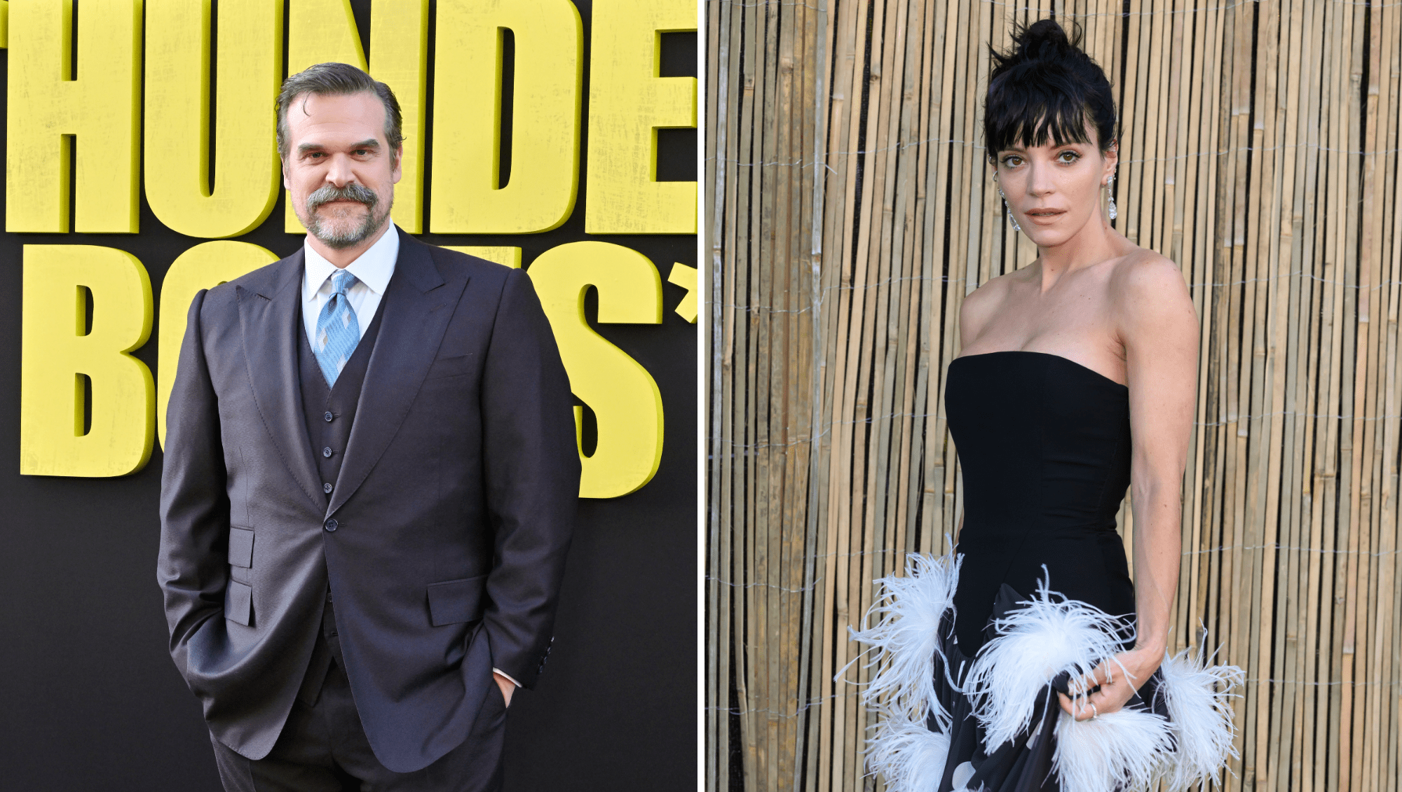 David Harbour Says He Still Wants Someone to 'Love' After Lily Allen Split