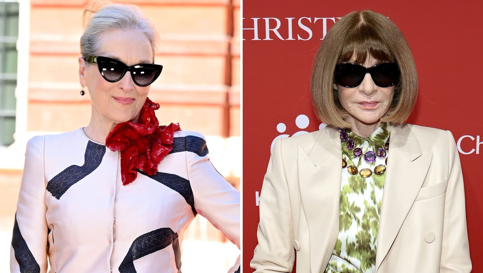 Meryl Streep Confirms She and Anna Wintour Are Actually Related
