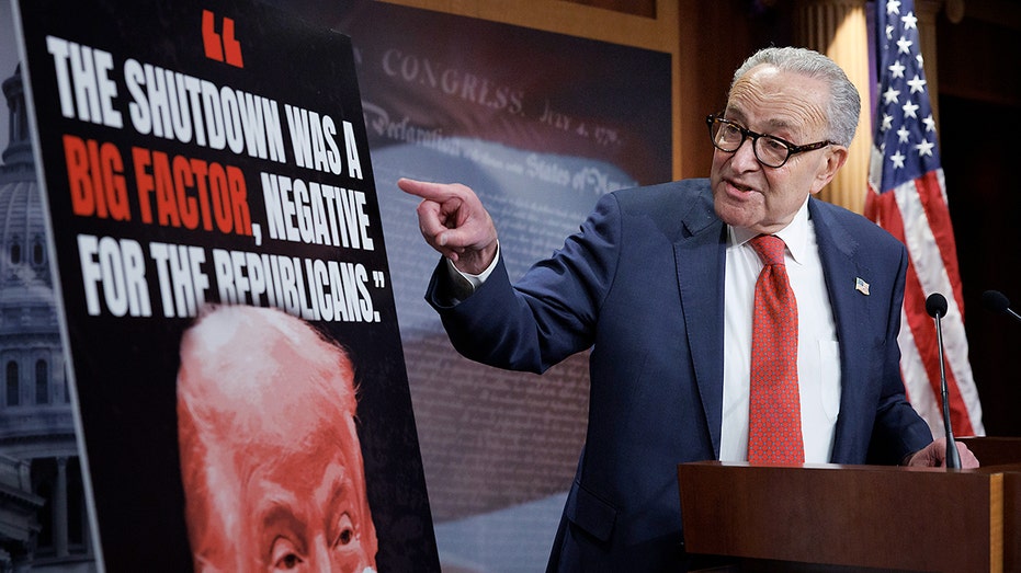 'Twisted irony': Democrats risk betraying their own pet issues with government shutdown gamble
