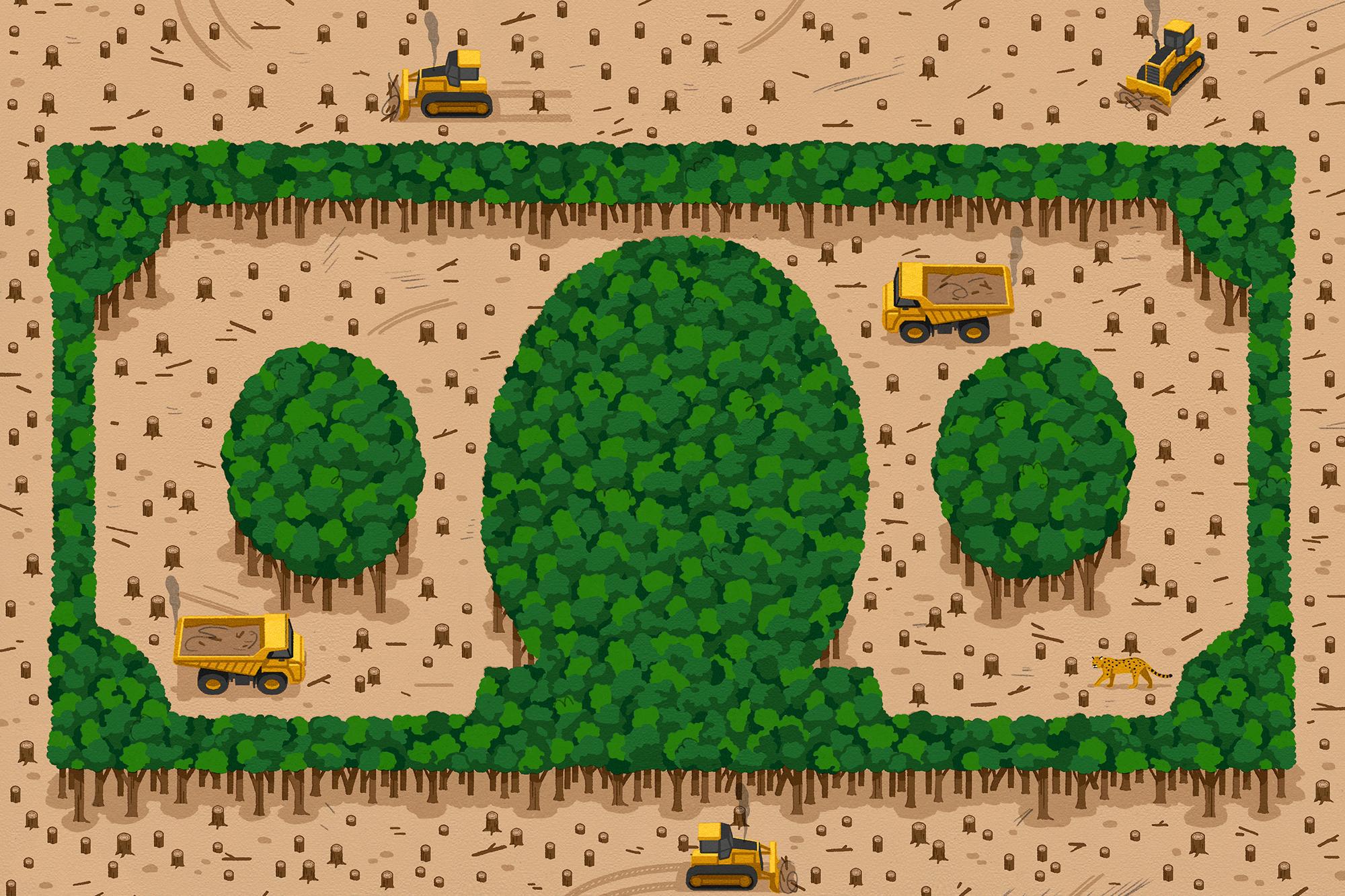 I asked a billionaire about his environmental philanthropy. It didn’t go well.