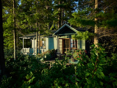 Scary Mommy 2025 Readers' Choice Awards Best Family-Friendly U.S. Resorts