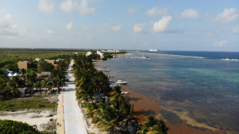 Royal Caribbean Begins Major Road Project Near Perfect Day Mexico