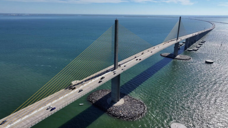 Petition Grows Against Proposed New Cruise Port in Tampa Bay