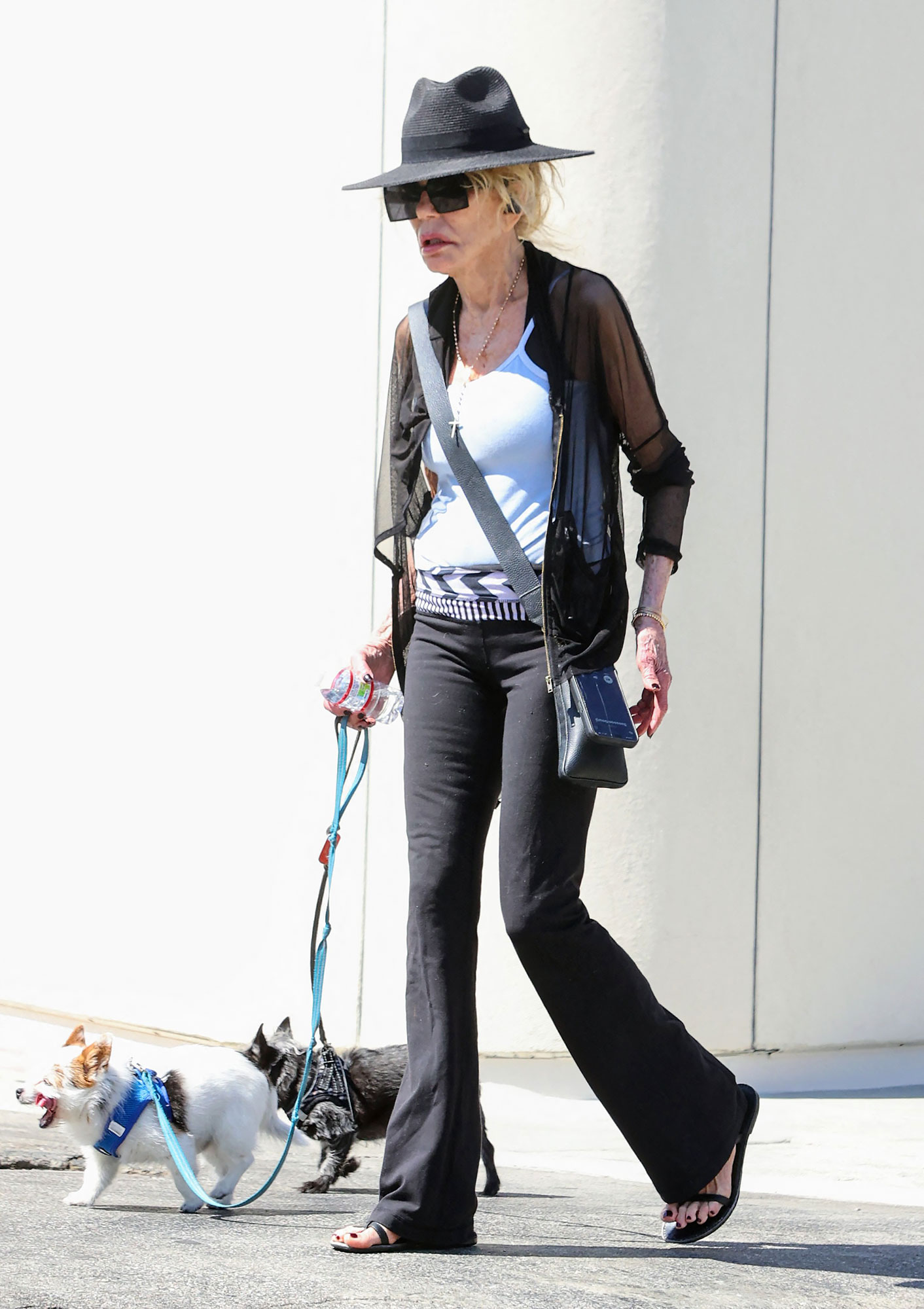 Dyan Cannon, 88, Steps Out After Revealing She Has 'Friends With Benefits'