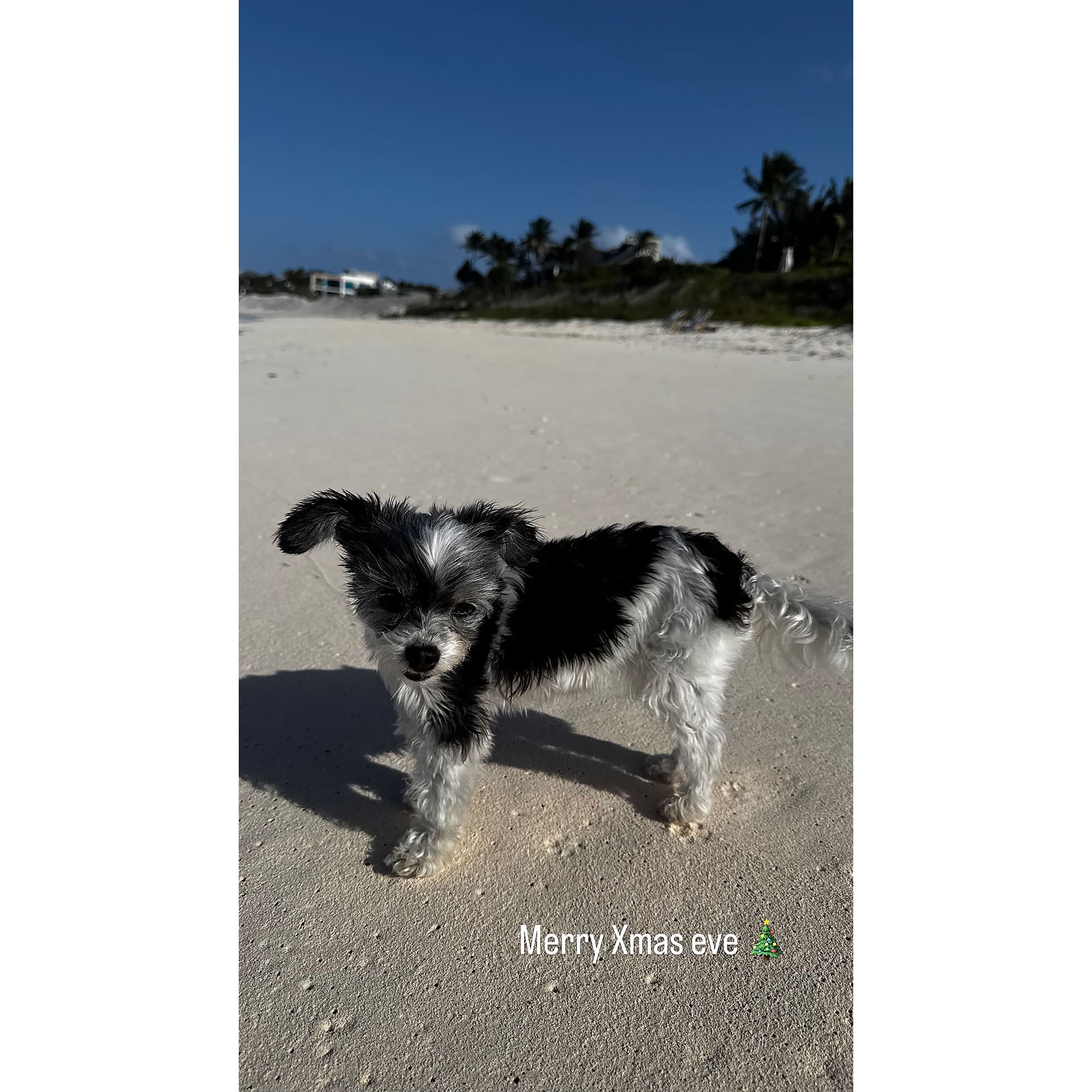 Tom Brady Celebrates Holidays With Son Jack After Ex Gisele's Secret Wedding