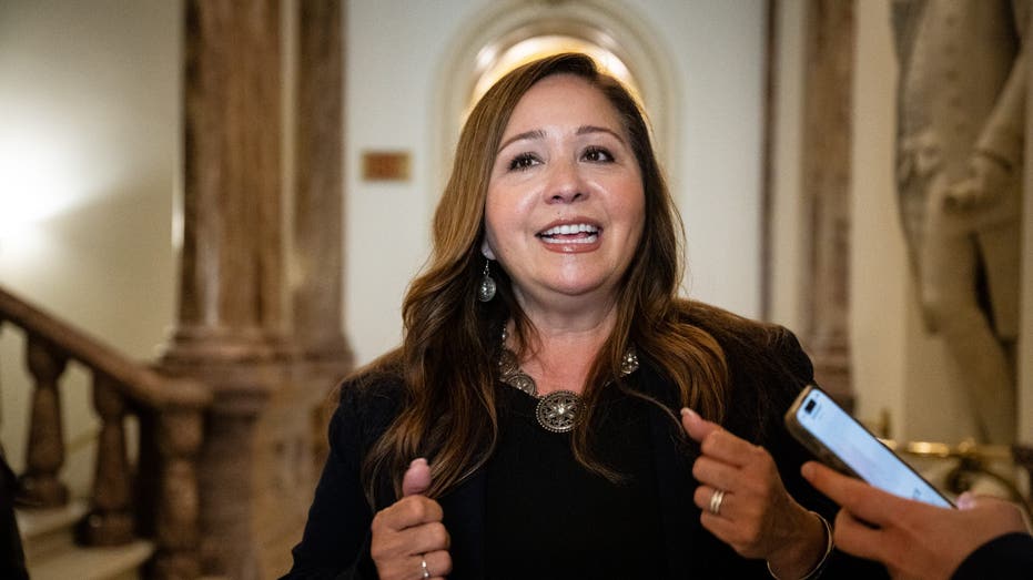 Democrat's swearing-in tips scales for House battle to unseal Epstein documents