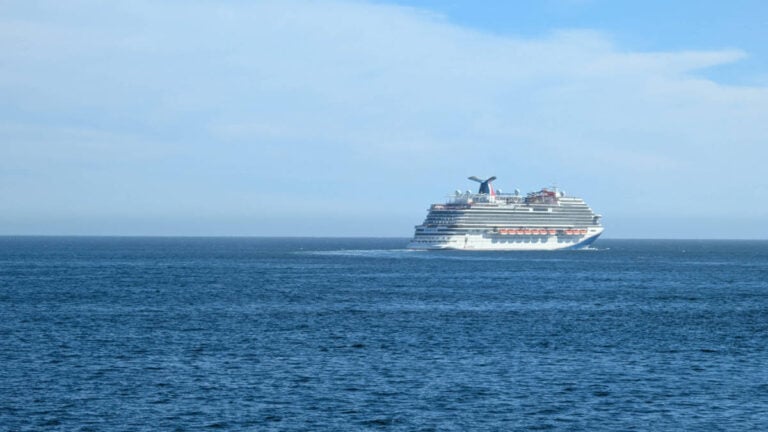 Carnival Panorama Temporarily Loses Power During Mexico Sailing